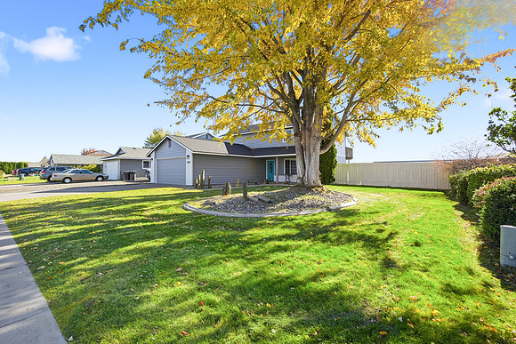 BP-02