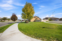 BP-02