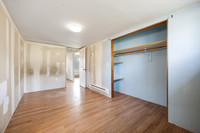 BP-19