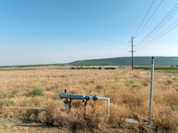 BP-10