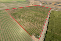 LOT 124430076 9.23