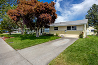 BP-03